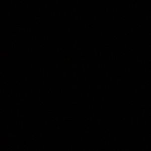 Meet your Posher, Susanna